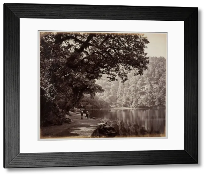 Framed Print : Untitled [trees near water, India], 1870s. Creator: Samuel Bourne