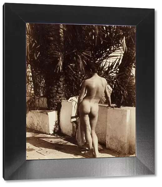 Male Nude, 1890. Creator: Count Wilhelm von Gloeden