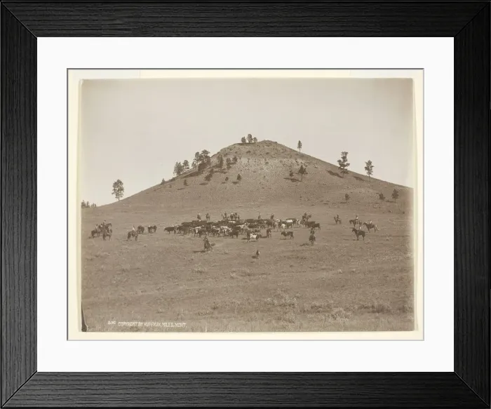 Framed Print : Working a little bunch in the hills, c. 1900. Creator: Laton Alton Huffman Framed Print : Working a little bunch in the hills, c. 1900. Creator: Laton Alton Huffman
