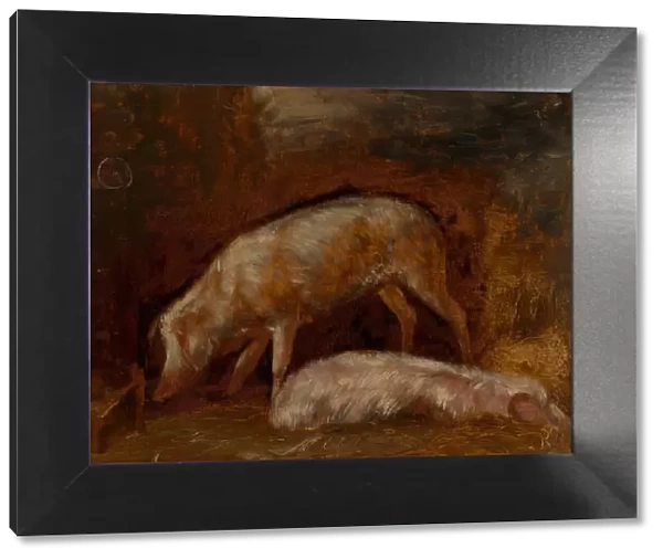 Study of Pigs, 1850  /  60. Creator: Alexandre Gabriel Decamps