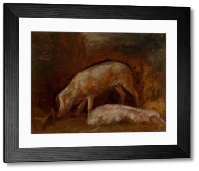 Framed Print : Study of Pigs, 1850 / 60. Creator: Alexandre Gabriel Decamps Framed Print : Study of Pigs, 1850 / 60. Creator: Alexandre Gabriel Decamps