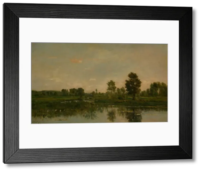 Framed Print : The Marsh, 1871. Creator: Charles Francois Daubigny Framed Print : The Marsh, 1871. Creator: Charles Francois Daubigny