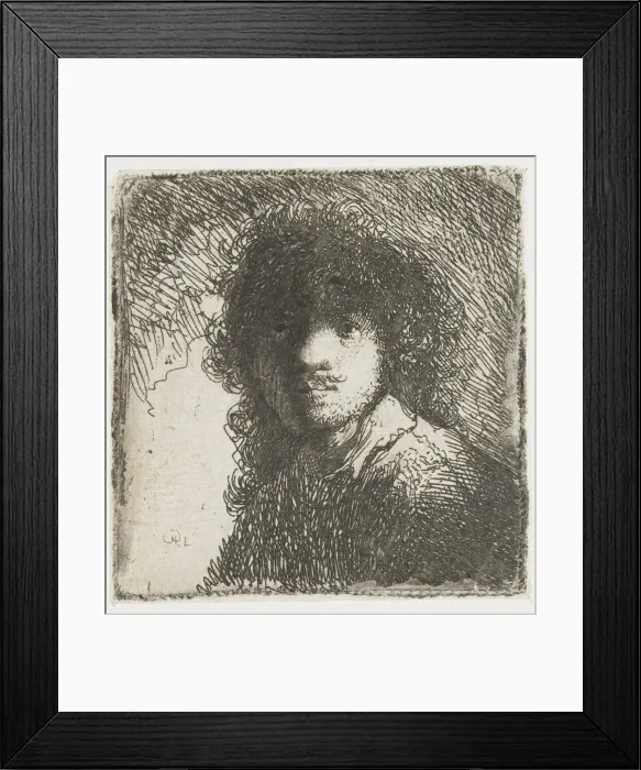Framed Print : Self-Portrait, ca 1627. Creator: Rembrandt van Rhijn (1606-1669) Framed Print : Self-Portrait, ca 1627. Creator: Rembrandt van Rhijn (1606-1669)