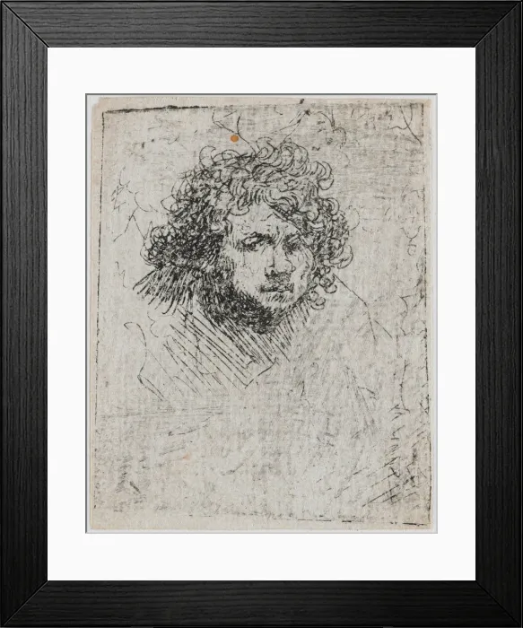 Framed Print : Self-Portrait, ca 1626-1629. Creator: Rembrandt van Rhijn (1606-1669) Framed Print : Self-Portrait, ca 1626-1629. Creator: Rembrandt van Rhijn (1606-1669)