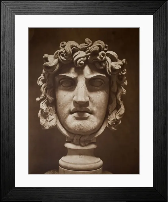 Framed Print : Mask of Medusa (Masque de Meduse), 1862. Creator: Adolphe Braun Framed Print : Mask of Medusa (Masque de Meduse), 1862. Creator: Adolphe Braun