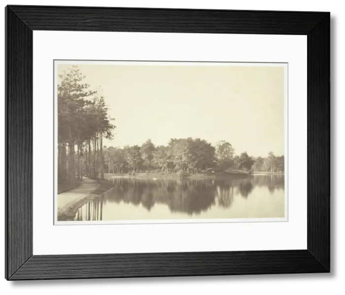 Framed Print : Untitled, c. 1850. [Trees near water in the Bois de Boulogne, a park in Paris]