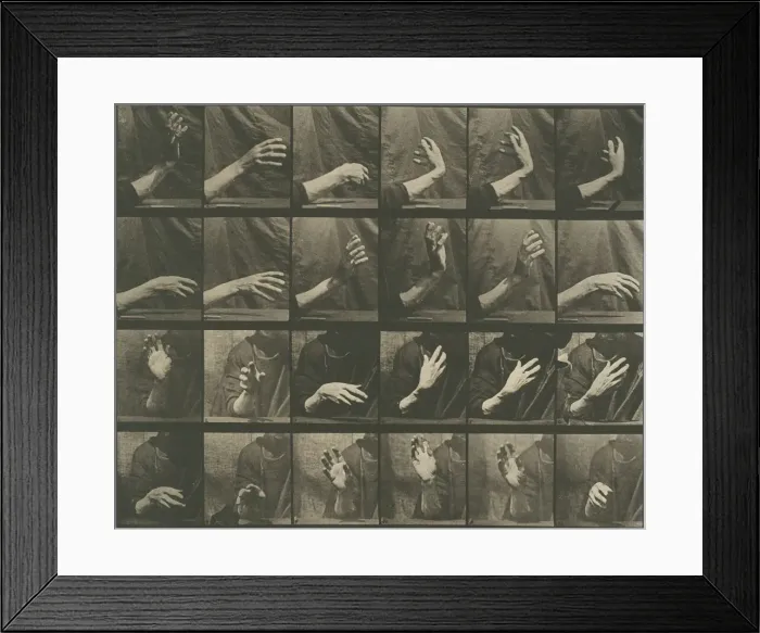 Framed Print : Animal Locomotion, Plate 535, 1887. Creator: Eadweard J Muybridge Framed Print : Animal Locomotion, Plate 535, 1887. Creator: Eadweard J Muybridge