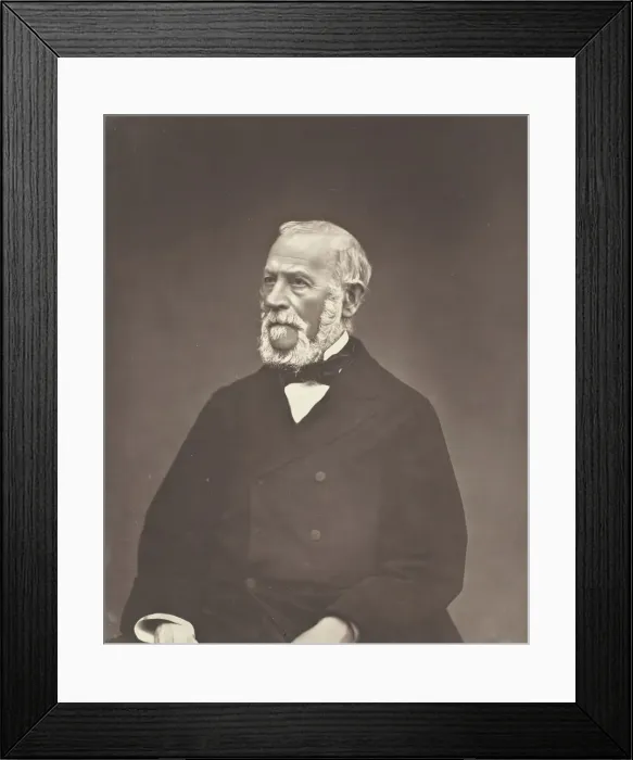 Framed Print : Henri Martin, c. 1876. Creator: Etienne Carjat Framed Print : Henri Martin, c. 1876. Creator: Etienne Carjat