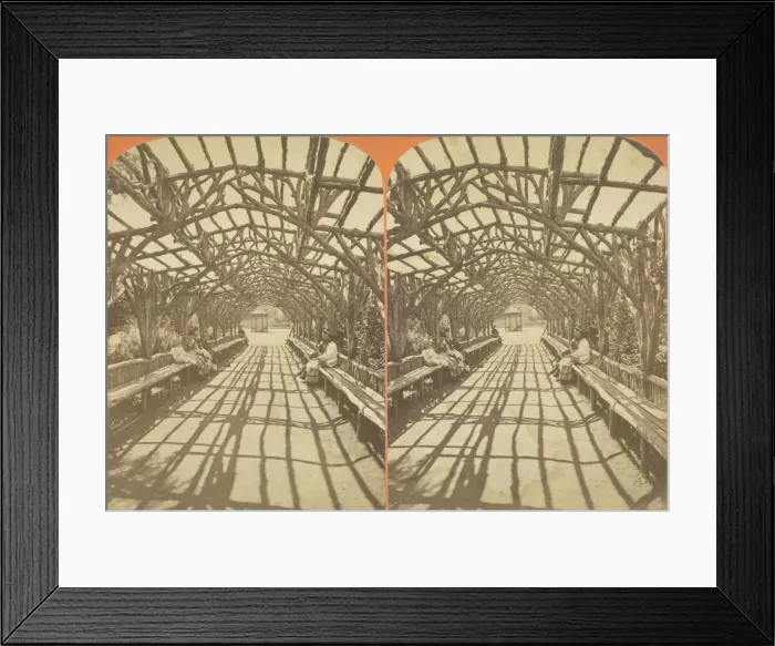 Framed Print : Vine Clad Arbor, 1873 / 81. Creator: J. W. & J. S. Moulton Framed Print : Vine Clad Arbor, 1873 / 81. Creator: J. W. & J. S. Moulton