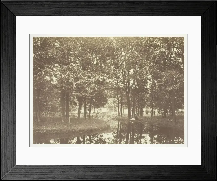 Framed Print : Untitled, c. 1850. [Trees near water in the Bois de Boulogne, a park in Paris]