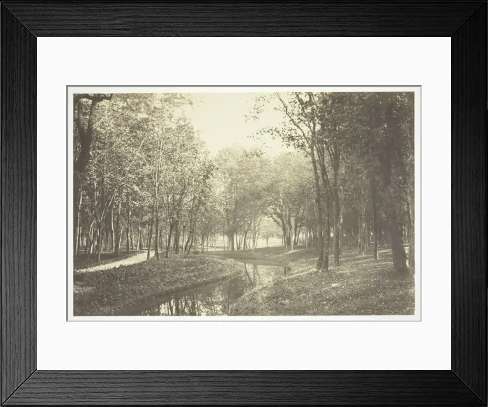Framed Print : Untitled, c. 1850. [Trees near water in the Bois de Boulogne, a park in Paris]
