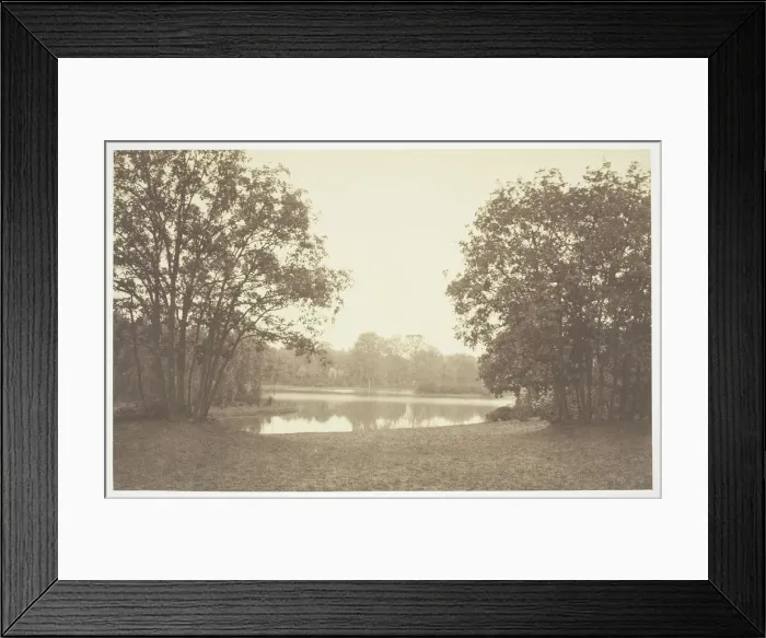 Framed Print : Untitled, c. 1850. [Trees near water in the Bois de Boulogne, a park in Paris]