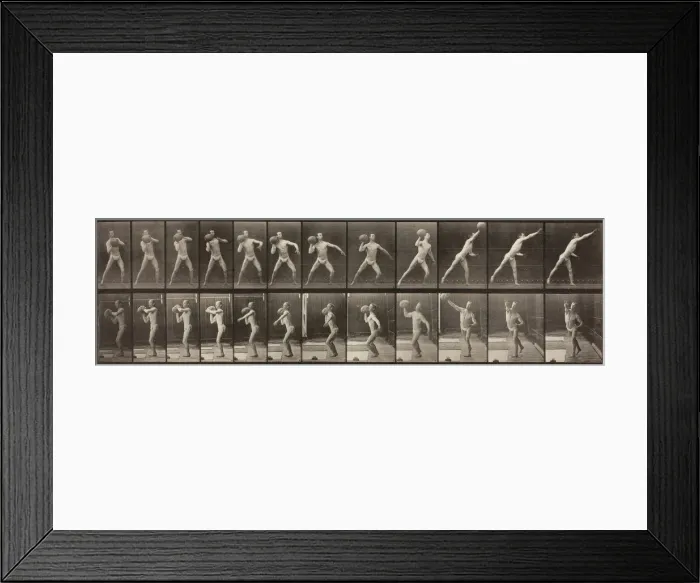 Framed Print : Animal Locomotion, Plate 319, 1887. Creator: Eadweard J Muybridge Framed Print : Animal Locomotion, Plate 319, 1887. Creator: Eadweard J Muybridge