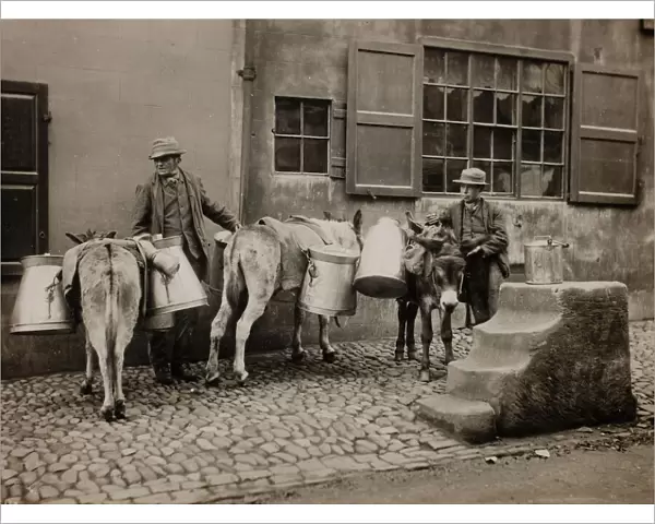 Milk Donkeys, c. 1890. Creator: Frank Meadow Sutcliffe