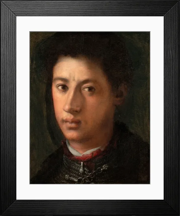 Framed Print : Alessandro de Medici, 1534 / 35. Creator: Jacopo Pontormo Framed Print : Alessandro de Medici, 1534 / 35. Creator: Jacopo Pontormo