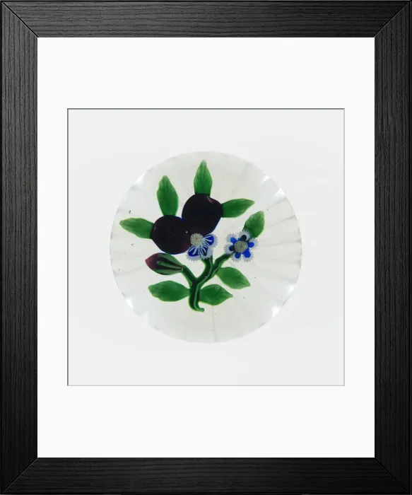 Framed Print : Paperweight, Luneville, c. 1848-55. Creator: Baccarat Glasshouse Framed Print : Paperweight, Luneville, c. 1848-55. Creator: Baccarat Glasshouse