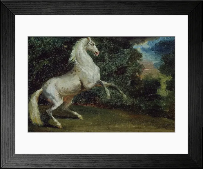 Framed Print : Prancing Horse, 1808 / 12. Creator: Unknown Framed Print : Prancing Horse, 1808 / 12. Creator: Unknown