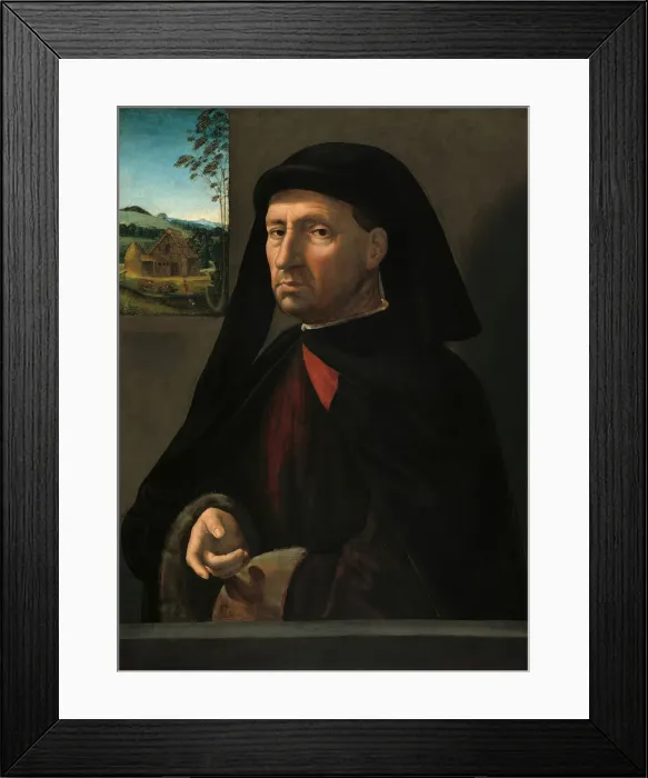 Framed Print : Portrait of a Gentleman, c. 1505. Creator: Ridolfo Ghirlandaio Framed Print : Portrait of a Gentleman, c. 1505. Creator: Ridolfo Ghirlandaio