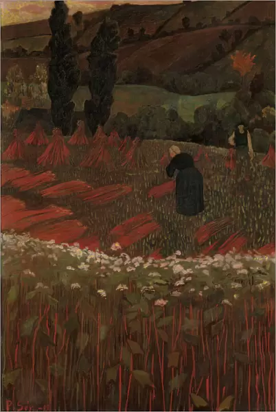 The Harvest of Buckwheat, 1899. Creator: Paul Serusier