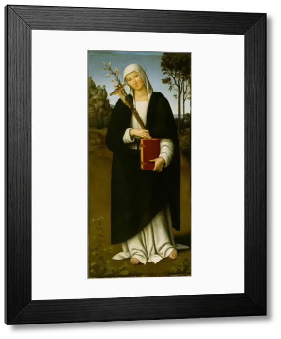 Framed Print : Saint Catherine of Siena, 1510 / 15. Creator: Lo Spagna Framed Print : Saint Catherine of Siena, 1510 / 15. Creator: Lo Spagna