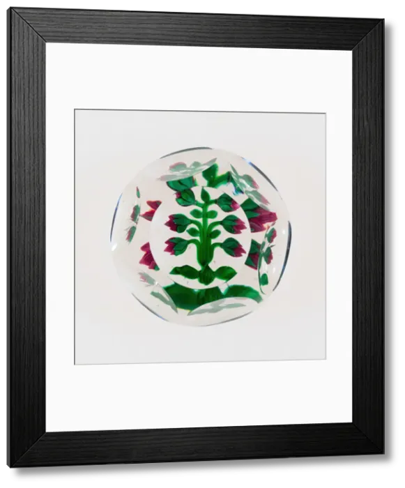 Framed Print : Paperweight, Luneville, 19th century. Creator: Baccarat Glasshouse Framed Print : Paperweight, Luneville, 19th century. Creator: Baccarat Glasshouse