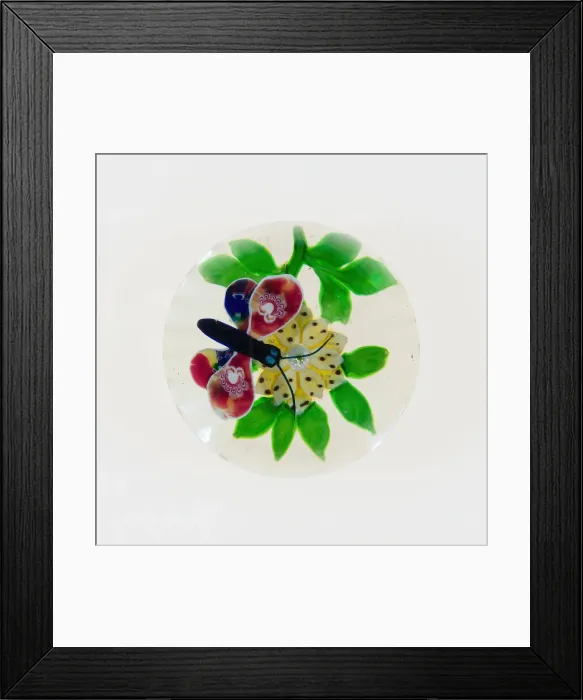 Framed Print : Paperweight, Luneville, c. 1848-55. Creator: Baccarat Glasshouse Framed Print : Paperweight, Luneville, c. 1848-55. Creator: Baccarat Glasshouse