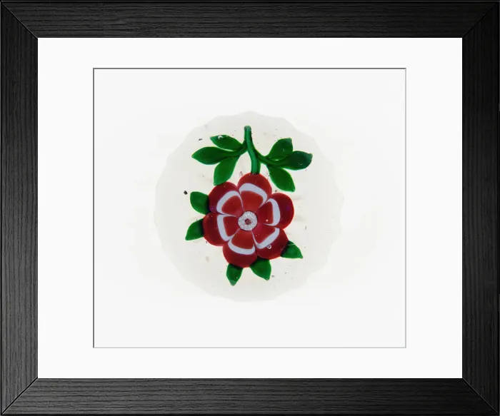 Framed Print : Paperweight, Baccarat, c. 1848-55. Creator: Baccarat Glasshouse Framed Print : Paperweight, Baccarat, c. 1848-55. Creator: Baccarat Glasshouse