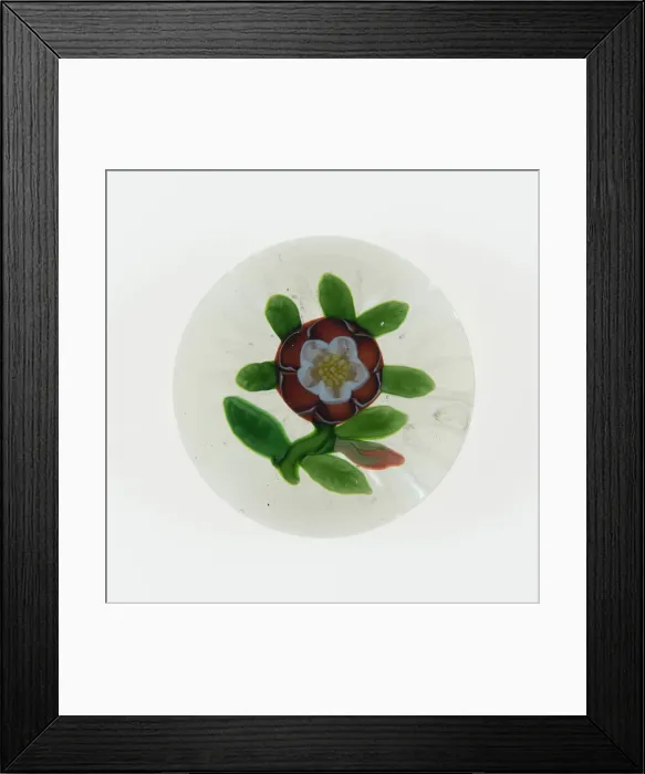 Framed Print : Paperweight, Baccarat, c. 1845-60. Creator: Baccarat Glasshouse Framed Print : Paperweight, Baccarat, c. 1845-60. Creator: Baccarat Glasshouse
