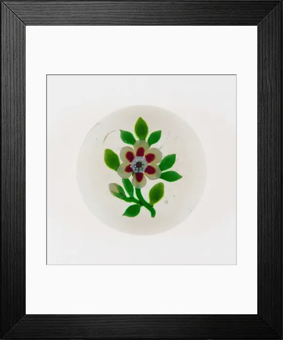Framed Print : Paperweight, Baccarat, c. 1848-55. Creator: Baccarat Glasshouse Framed Print : Paperweight, Baccarat, c. 1848-55. Creator: Baccarat Glasshouse