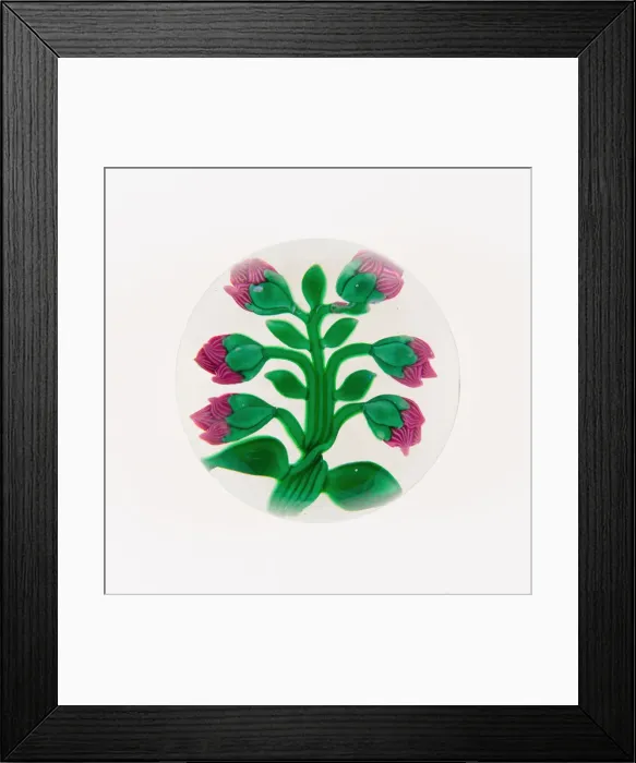 Framed Print : Paperweight, France, 19th century. Creator: Baccarat Glasshouse Framed Print : Paperweight, France, 19th century. Creator: Baccarat Glasshouse