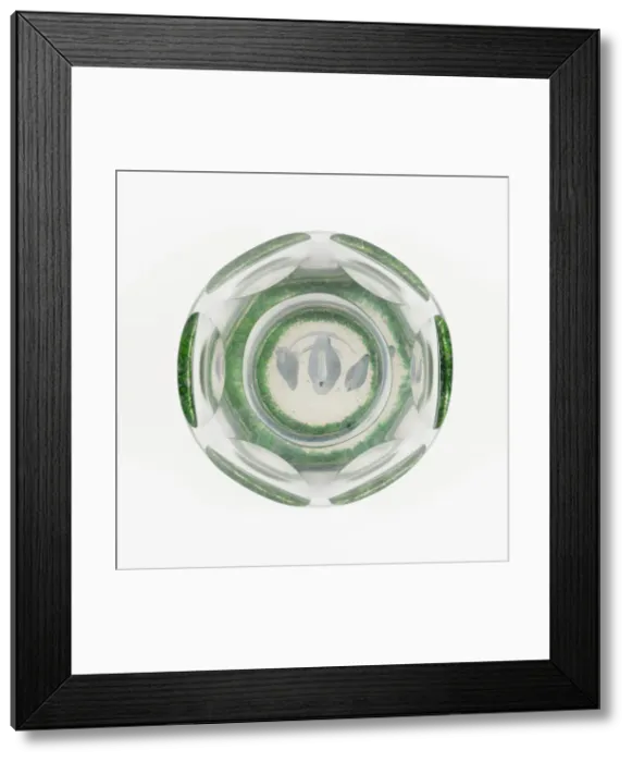 Framed Print : Paperweight, , 19th century. Creator: Baccarat Glasshouse Framed Print : Paperweight, , 19th century. Creator: Baccarat Glasshouse