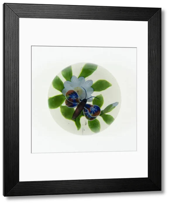 Framed Print : Paperweight, Baccarat, c. 1845-60. Creator: Baccarat Glasshouse Framed Print : Paperweight, Baccarat, c. 1845-60. Creator: Baccarat Glasshouse