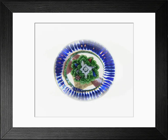 Framed Print : Paperweight, Baccarat, c. 1845-60. Creator: Baccarat Glasshouse Framed Print : Paperweight, Baccarat, c. 1845-60. Creator: Baccarat Glasshouse