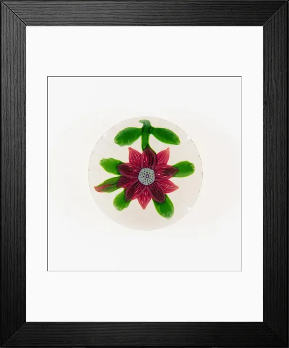 Framed Print : Paperweight, Baccarat, c. 1845-60. Creator: Baccarat Glasshouse Framed Print : Paperweight, Baccarat, c. 1845-60. Creator: Baccarat Glasshouse