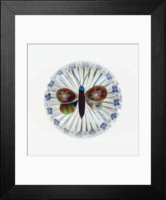 Framed Print : Paperweight, Baccarat, c. 1845-60. Creator: Baccarat Glasshouse Framed Print : Paperweight, Baccarat, c. 1845-60. Creator: Baccarat Glasshouse