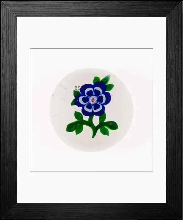 Framed Print : Paperweight, Baccarat, c. 1848-55. Creator: Baccarat Glasshouse Framed Print : Paperweight, Baccarat, c. 1848-55. Creator: Baccarat Glasshouse