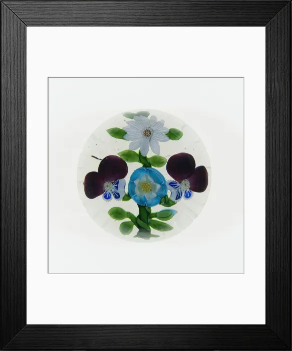 Framed Print : Paperweight, Baccarat, c. 1845-60. Creator: Baccarat Glasshouse Framed Print : Paperweight, Baccarat, c. 1845-60. Creator: Baccarat Glasshouse