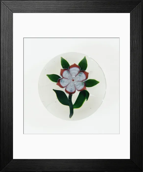 Framed Print : Paperweight, Baccarat, c. 1845-60. Creator: Baccarat Glasshouse Framed Print : Paperweight, Baccarat, c. 1845-60. Creator: Baccarat Glasshouse