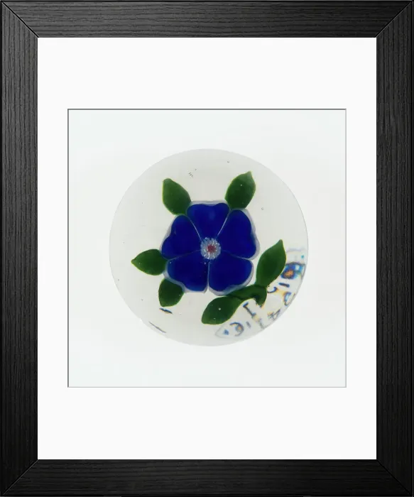 Framed Print : Paperweight, Baccarat, c. 1845-60. Creator: Baccarat Glasshouse Framed Print : Paperweight, Baccarat, c. 1845-60. Creator: Baccarat Glasshouse