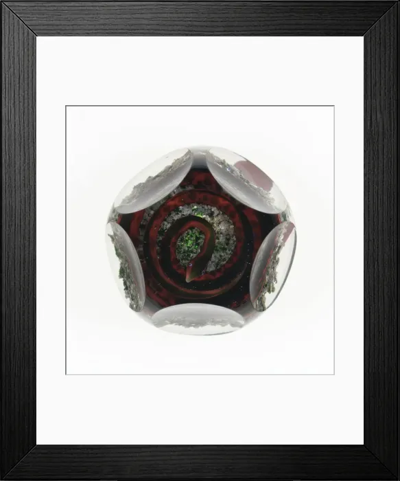 Framed Print : Paperweight, Baccarat, c. 1845-60. Creator: Baccarat Glasshouse Framed Print : Paperweight, Baccarat, c. 1845-60. Creator: Baccarat Glasshouse