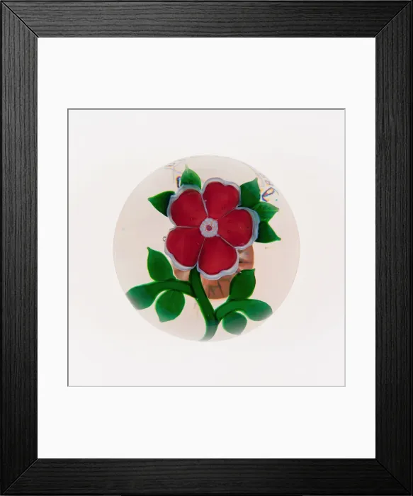 Framed Print : Paperweight, Baccarat, c. 1845-60. Creator: Baccarat Glasshouse Framed Print : Paperweight, Baccarat, c. 1845-60. Creator: Baccarat Glasshouse