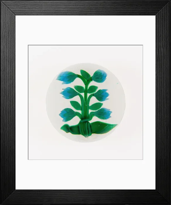 Framed Print : Paperweight, France, 19th century. Creator: Baccarat Glasshouse Framed Print : Paperweight, France, 19th century. Creator: Baccarat Glasshouse