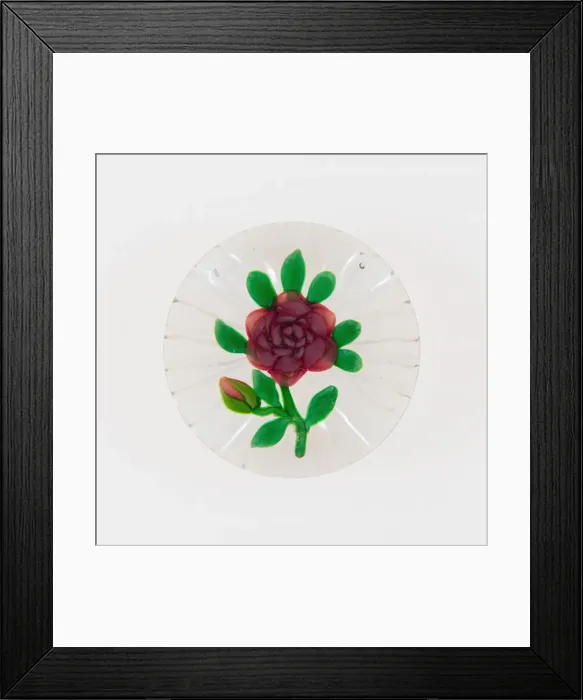 Framed Print : Paperweight, France, 19th century. Creator: Baccarat Glasshouse Framed Print : Paperweight, France, 19th century. Creator: Baccarat Glasshouse