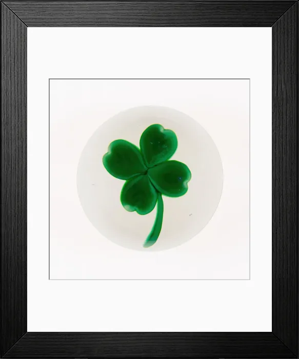 Framed Print : Paperweight, France, 19th century. Creator: Baccarat Glasshouse Framed Print : Paperweight, France, 19th century. Creator: Baccarat Glasshouse