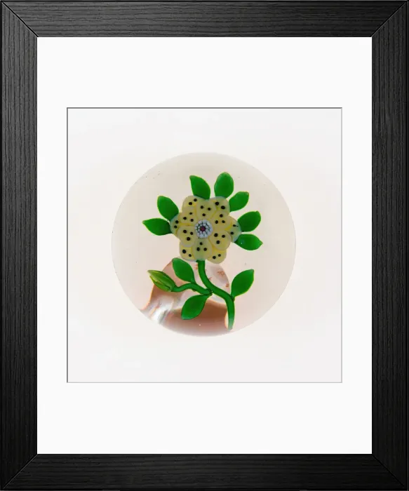 Framed Print : Paperweight, Baccarat, c. 1845-60. Creator: Baccarat Glasshouse Framed Print : Paperweight, Baccarat, c. 1845-60. Creator: Baccarat Glasshouse