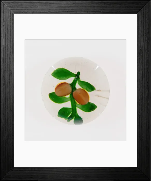 Framed Print : Paperweight, France, 19th century. Creator: Baccarat Glasshouse Framed Print : Paperweight, France, 19th century. Creator: Baccarat Glasshouse
