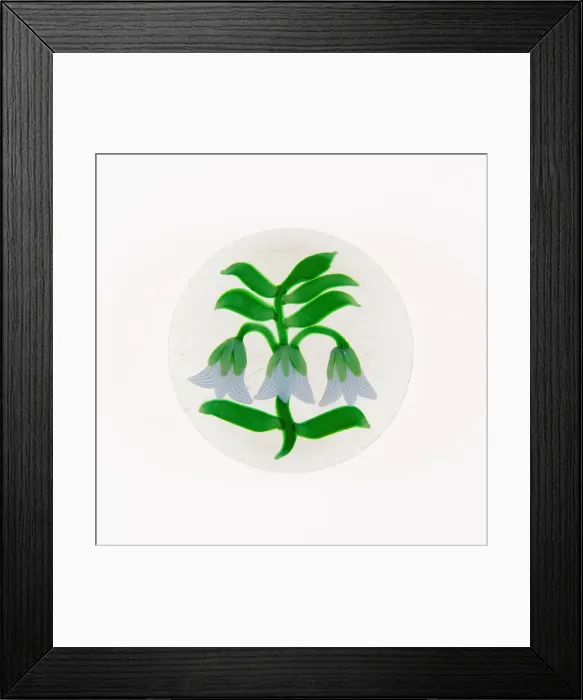 Framed Print : Paperweight, France, c. 1845 / 60. Creator: Baccarat Glasshouse Framed Print : Paperweight, France, c. 1845 / 60. Creator: Baccarat Glasshouse