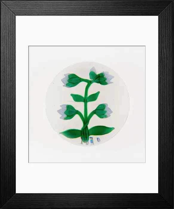 Framed Print : Paperweight, France, 19th century. Creator: Baccarat Glasshouse Framed Print : Paperweight, France, 19th century. Creator: Baccarat Glasshouse