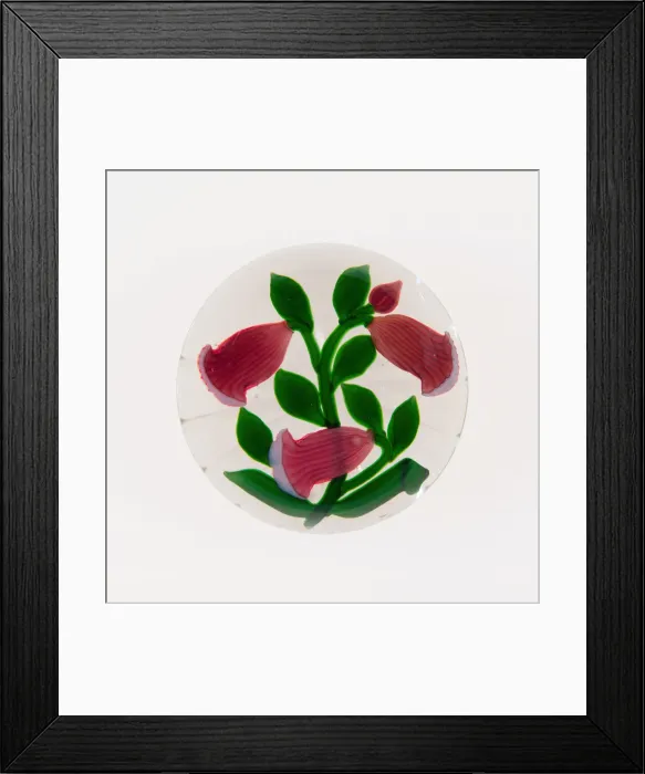 Framed Print : Paperweight, France, 19th century. Creator: Baccarat Glasshouse Framed Print : Paperweight, France, 19th century. Creator: Baccarat Glasshouse