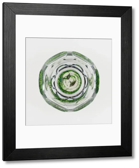 Framed Print : Paperweight, France, 19th century. Creator: Baccarat Glasshouse Framed Print : Paperweight, France, 19th century. Creator: Baccarat Glasshouse